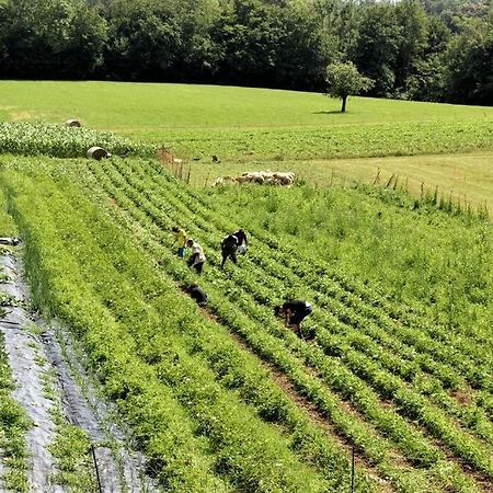 Double Bedroom, Kitchen, Bathroom In Organic Farm เบลลูโน ภายนอก รูปภาพ